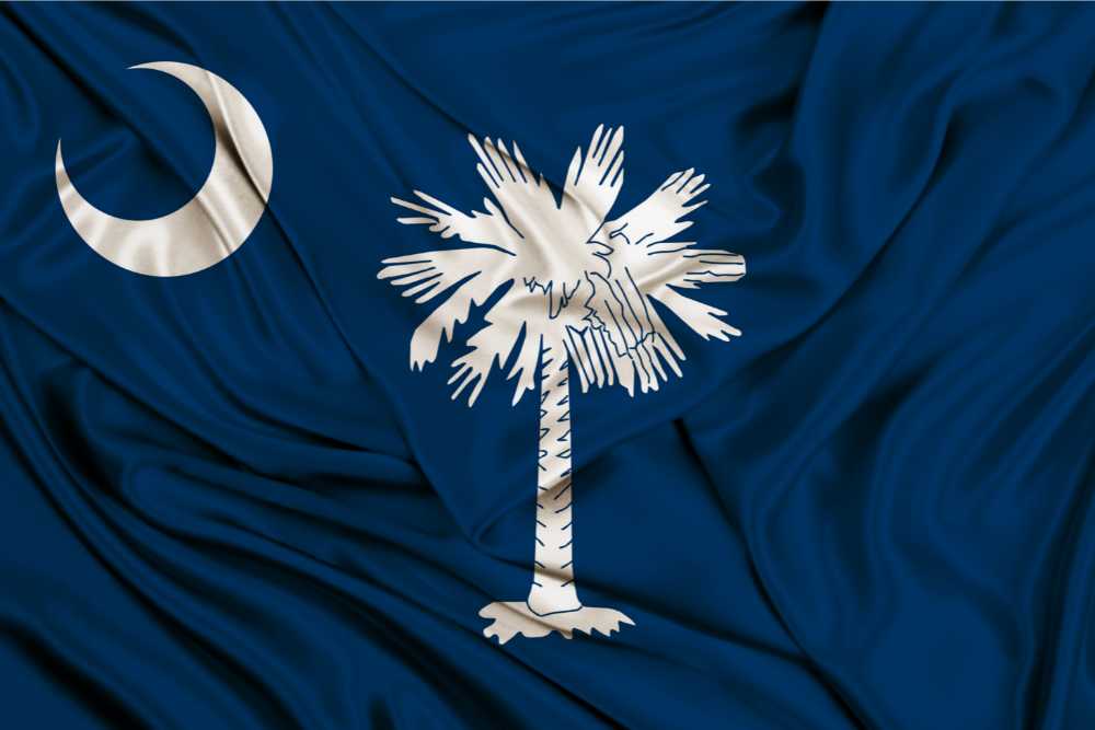 south carolina state flag crumpled