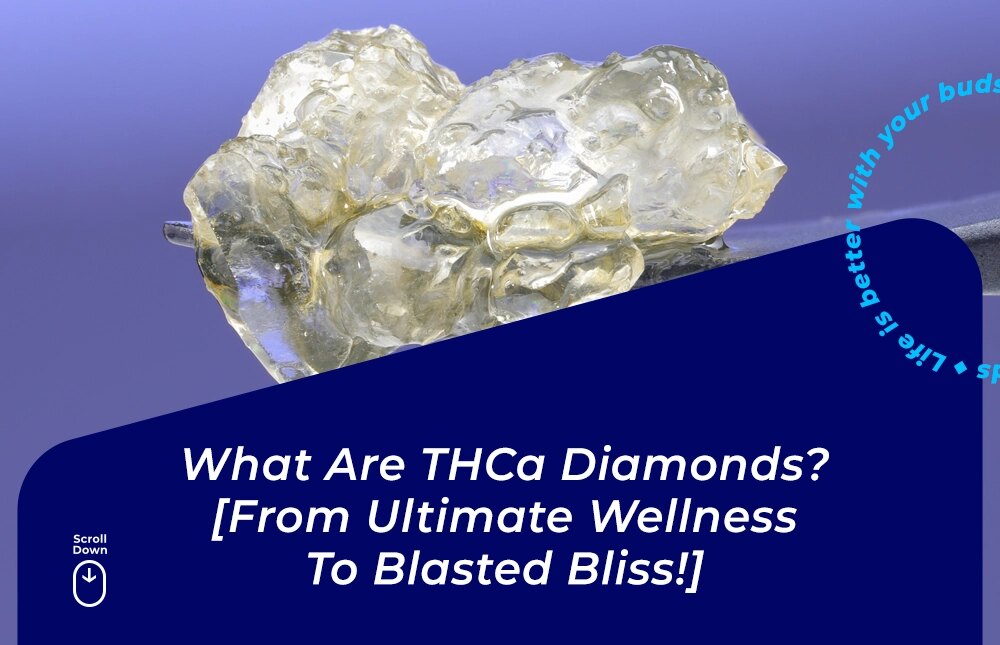 what is thca diamonds