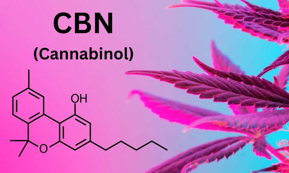 cannabinol cbn chemical structure