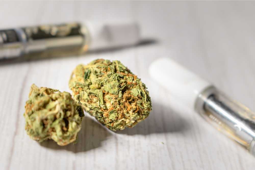 cannabis buds with vapes in background