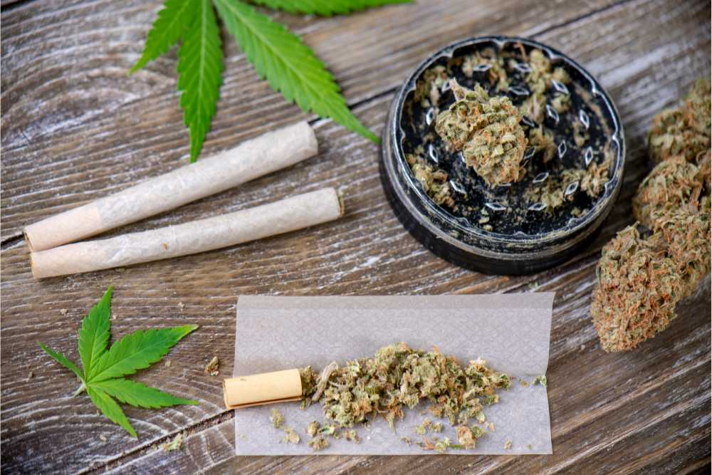 cannabis joints flower on wooden table next to grinder