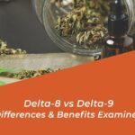 delta 8 vs delta 9