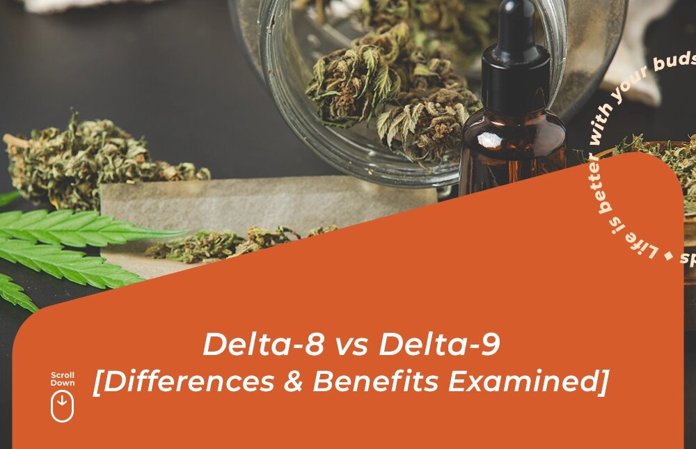 delta 8 vs delta 9