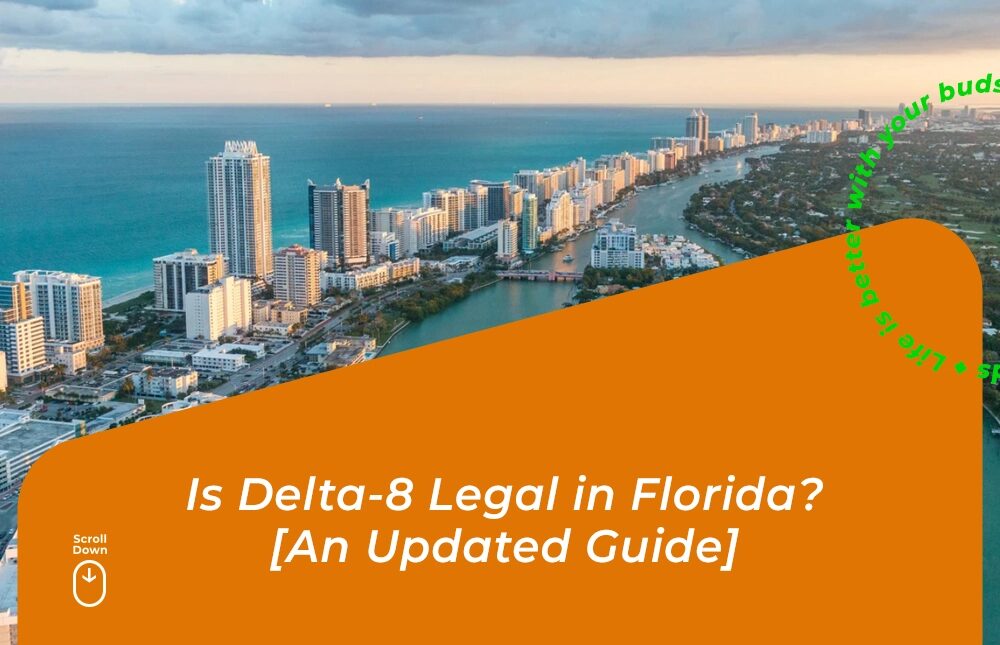 is delta 8 legal in florida