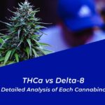 thca vs delta 8