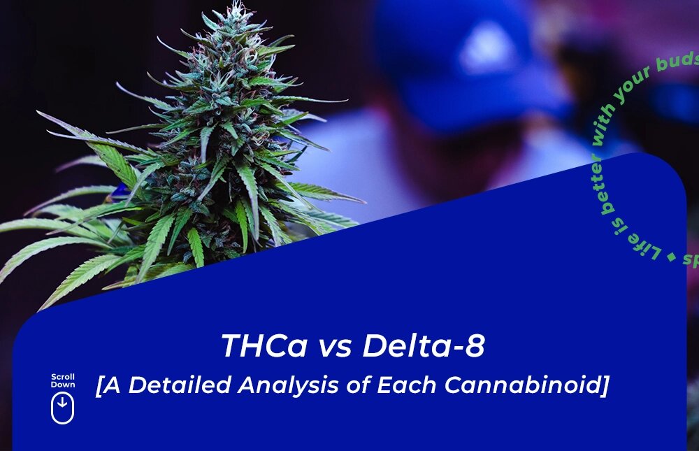 thca vs delta 8