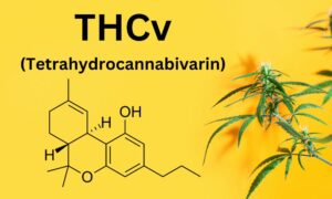 thcv tetrahydrocannabivarin chemical structure