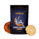 Dried Amanita Muscaria Mushrooms