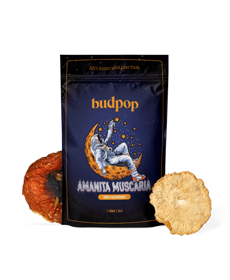 Amanita Muscaria Dried Mushrooms | BudPop