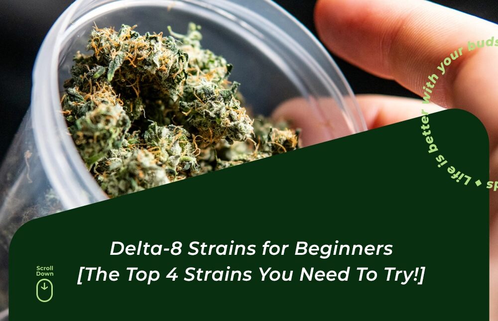 delta 8 strains for beginners delta 8 strain