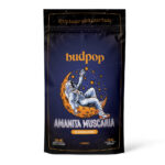 500 mg Edible - Sweet Magic Amanita Muscaria Gummy Cube