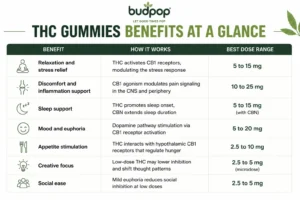 THC gummies benefits at a glance