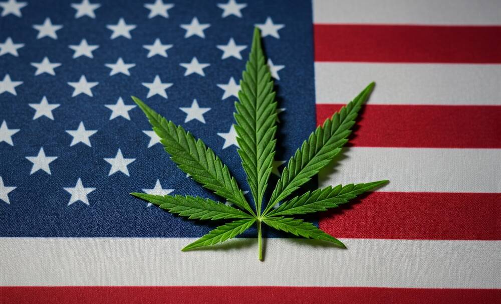 cannabis leaf in center of american flag