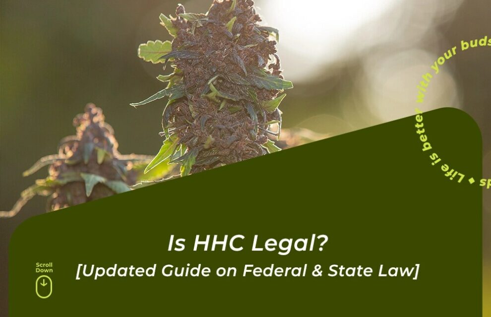 HHC Is Illegal In 2026![But Here's What To Buy Instead] | BudPop