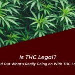 is thc legal