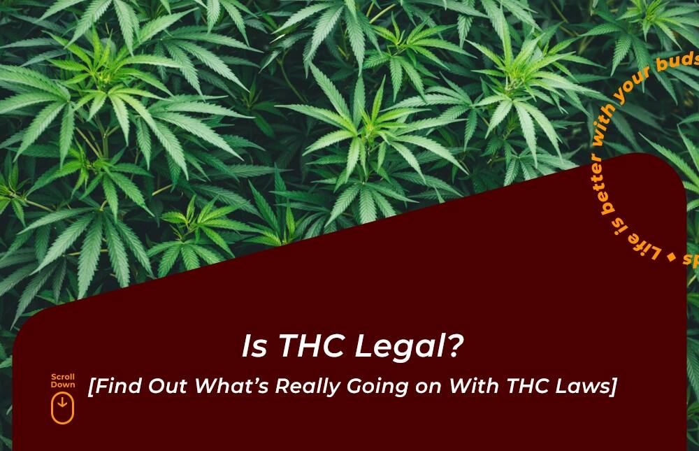 is thc legal