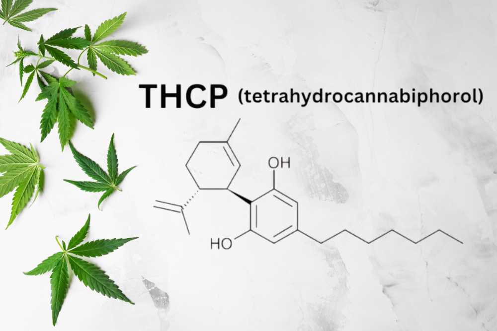 thcp chemical structure