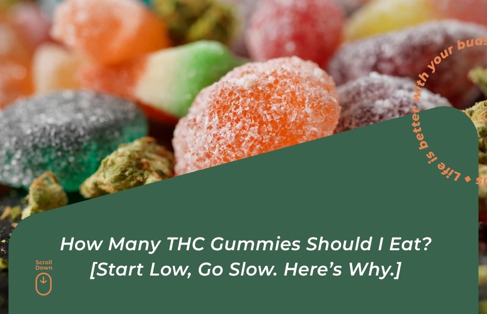 how many thc gummies should i eat