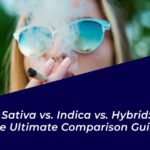 sativa vs indica vs hybrid