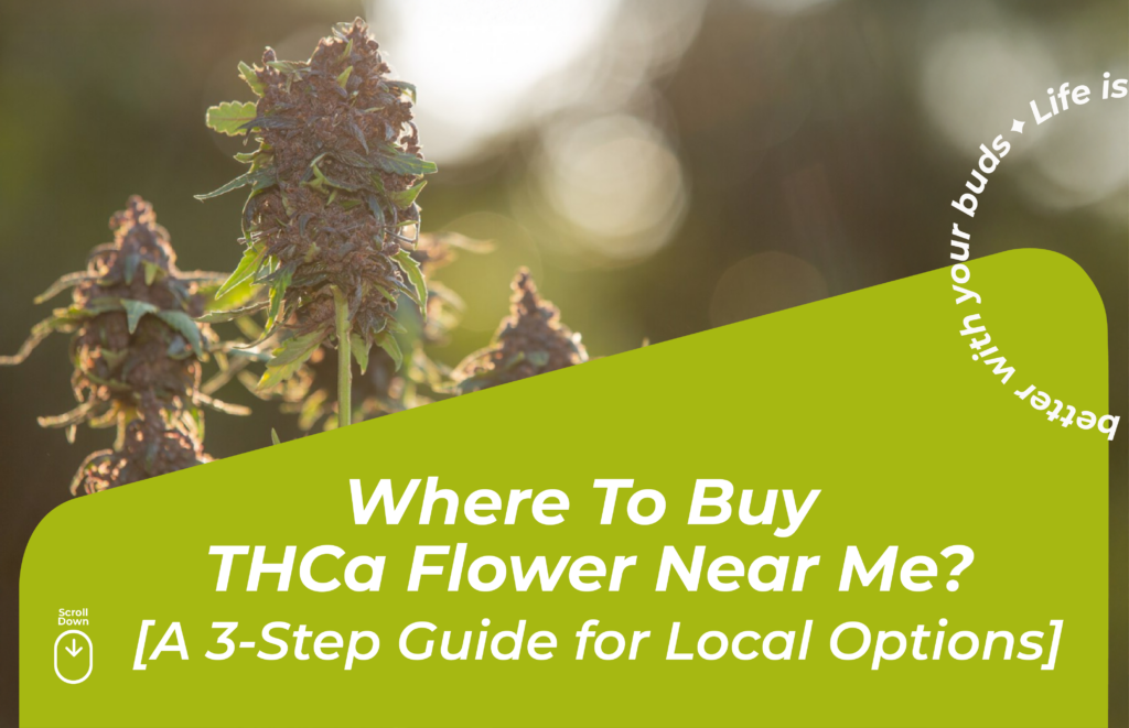 Where To Buy THCa Flower Near Me