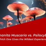 amanita muscaria vs psilocybin