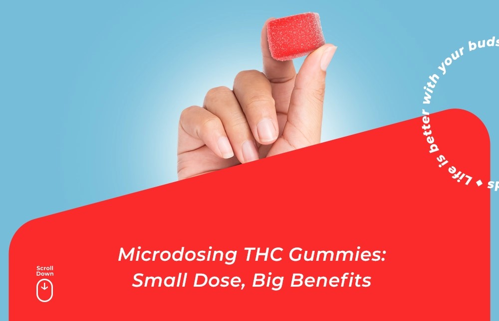 Microdosing THC Gummies: The Best Way to Microdose THC Gummies microdosing thc gummies