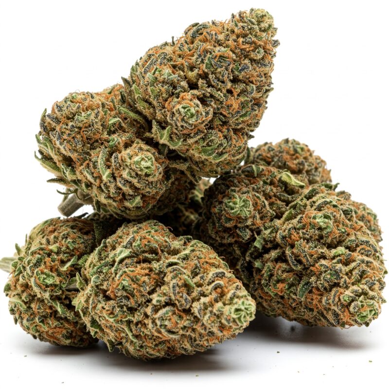 Sunset Sherbert Strain THCA Flower
