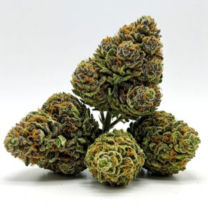 THCA Flower | BudPop