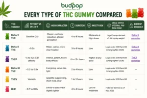 Delta 9 gummies vs THC gummies: what's the actual difference? THC gummy compared