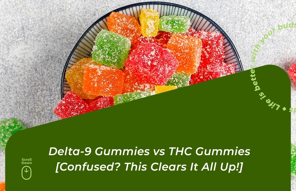 delta 9 gummies vs thc gummies