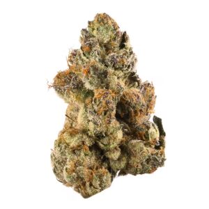 Gelato 42 Strain THCA Flower