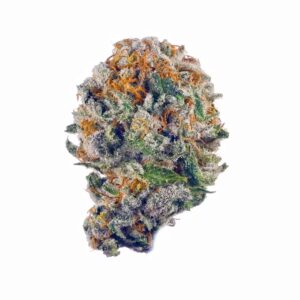 Purple Gelato Strain THCA Flower