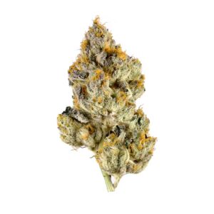 Lemon Cherry Gelato Strain Small Buds THCA Flower