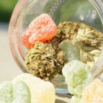 does delta 9 get you baked