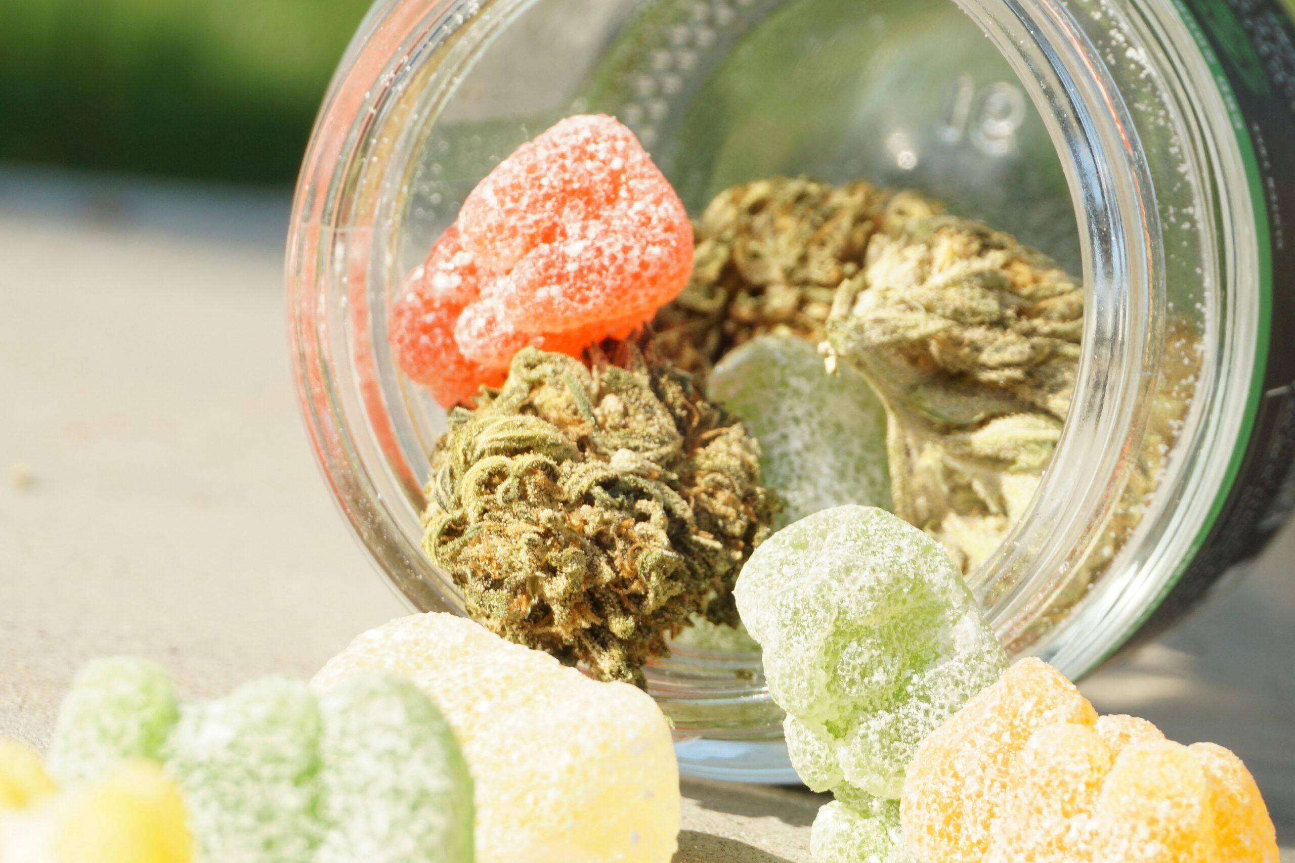 does delta 9 get you baked