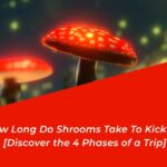 how long do shrooms take to kick in
