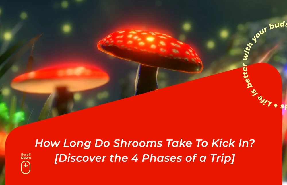 how long do shrooms take to kick in