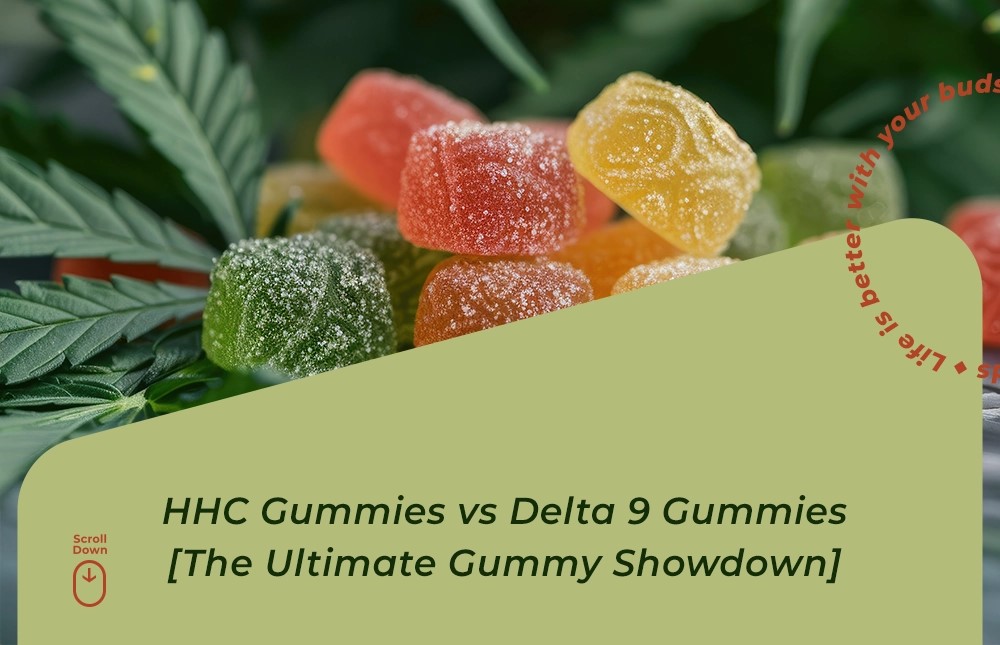 hhc gummies vs delta 9 gummies