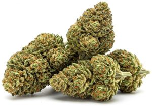 thca flower