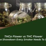 thca flower vs thc flower