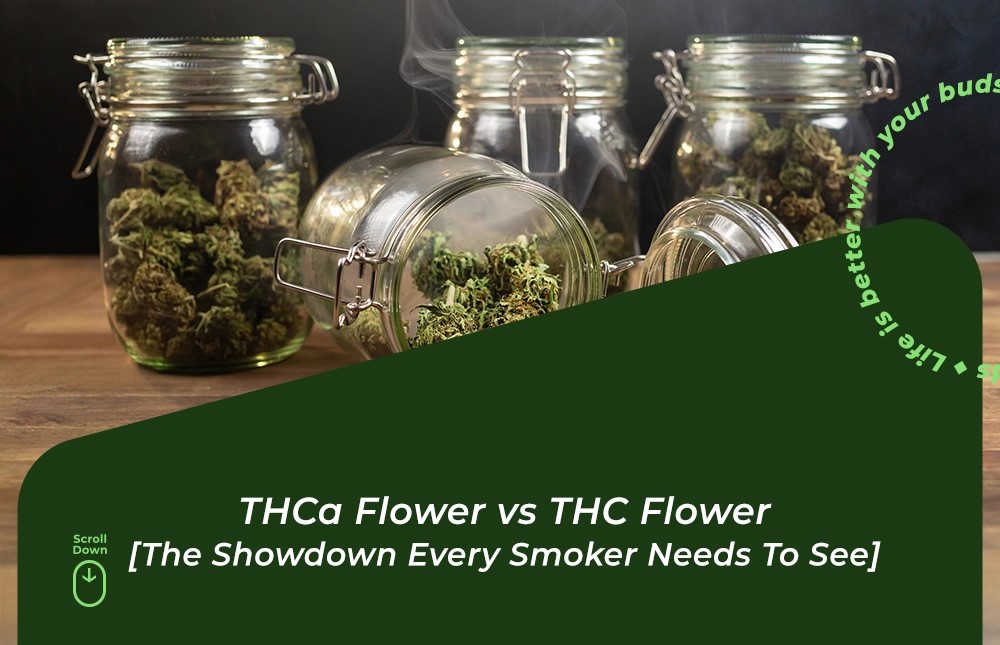 thca flower vs thc flower