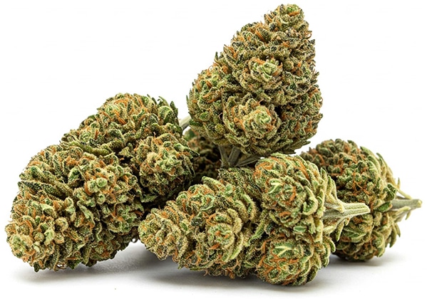 Wholesale THCa Flower | BudPop