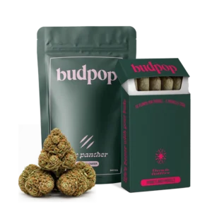 Home | BudPop