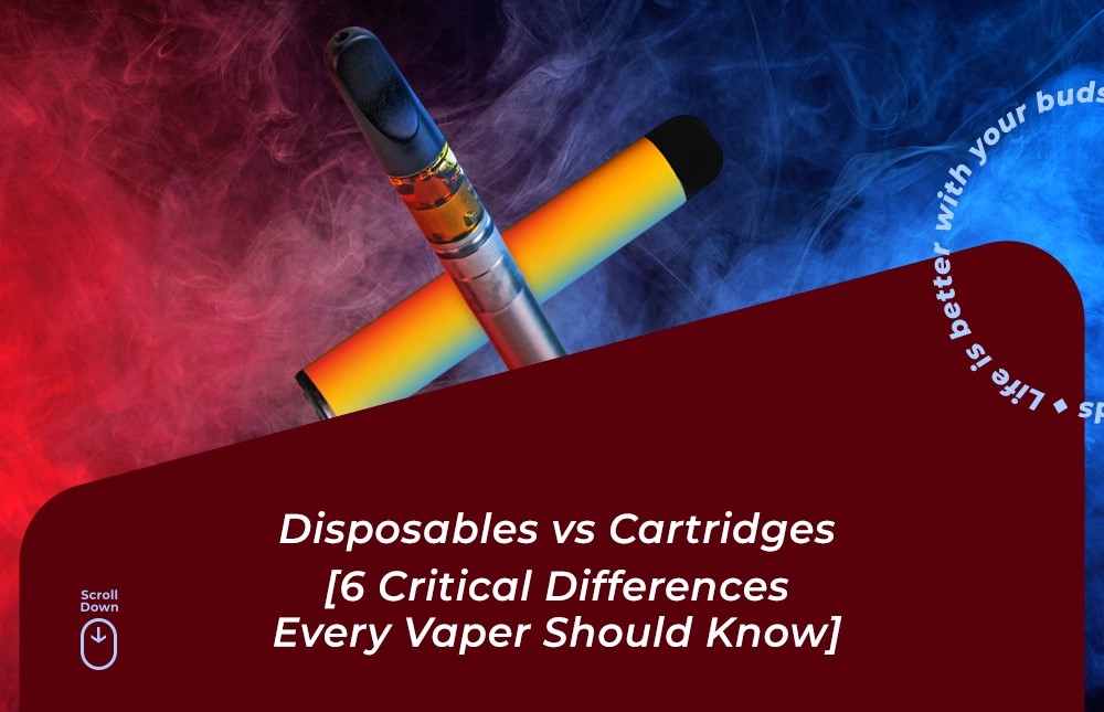 disposable vape vs cartridge