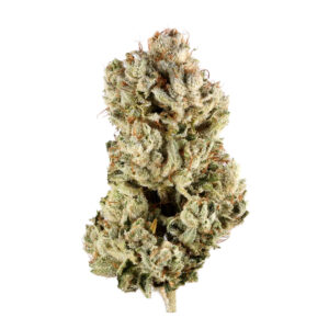 Gorilla Glue Strain THCA Flower