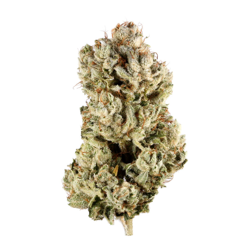 Gorilla Glue Strain THCA Flower