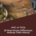 hhc vs thcp