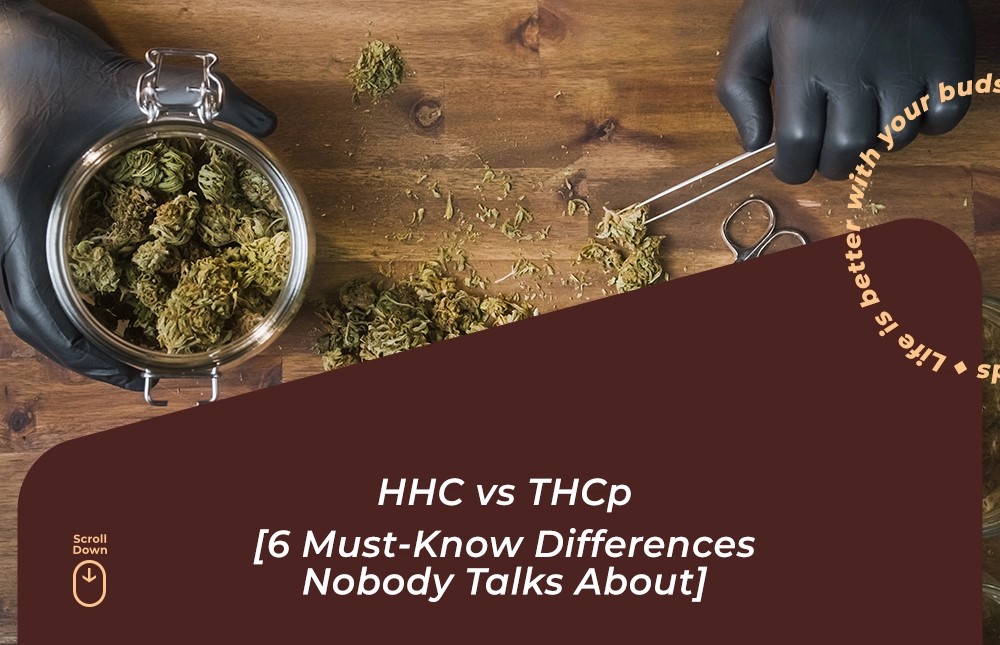 hhc vs thcp