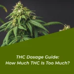 thc dosage guide