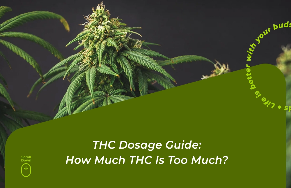 thc dosage guide
